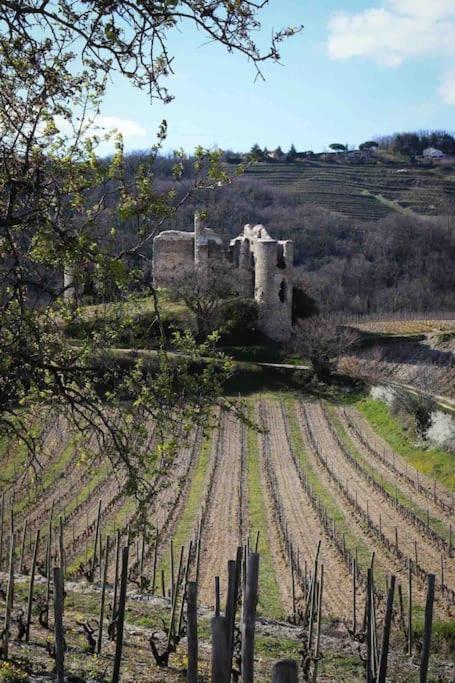 Pres Des Vignes Leilighet Crozes-Hermitage Eksteriør bilde